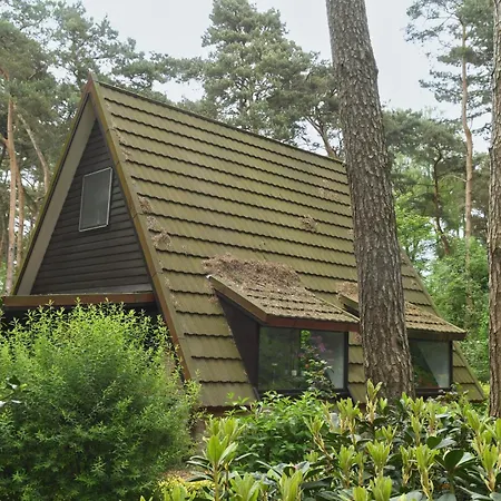 Kabouterhuisje Rekem Tatil Evi